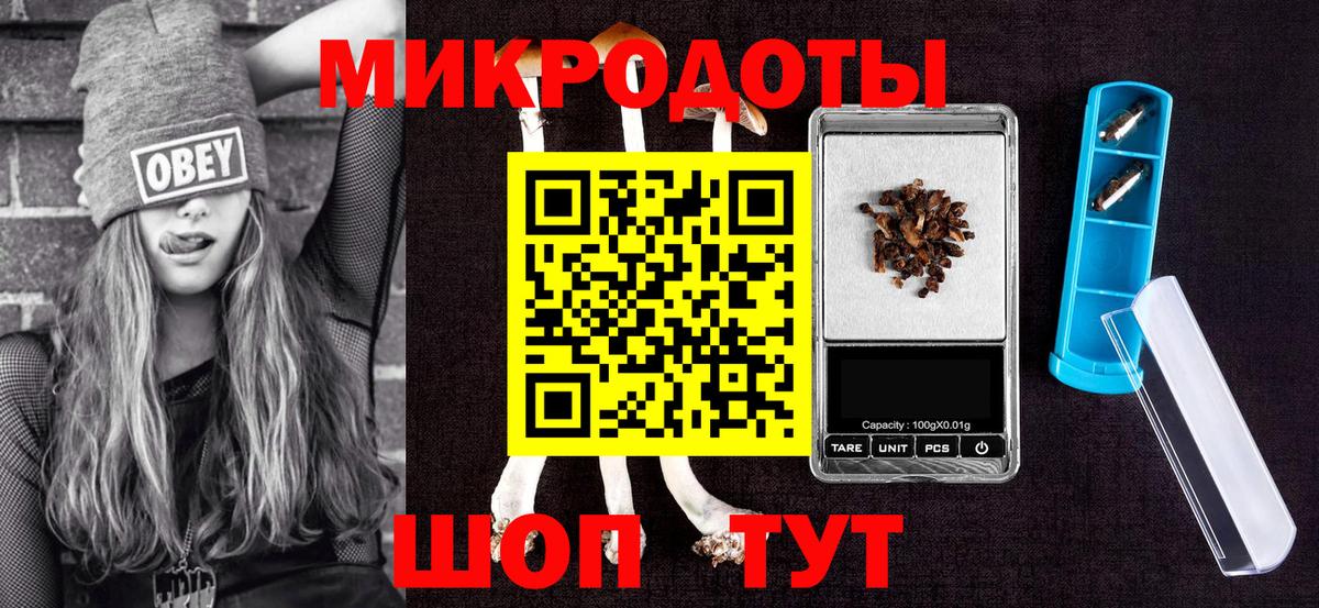 купить закладку  Вход с VPN  Губкинский  Псилоцибиновые грибы Psilocybine cubensis 